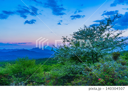 【山梨県】夕闇迫る清里の美し森 富士山遠望 【山梨県】夕闇迫る清里の美し森 富士山遠望 140304507