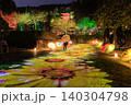 岐阜公園ぎふ灯り物語で彩られた花模様の光と和傘の幻想的な夜景 140304798