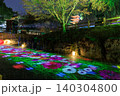 岐阜公園ぎふ灯り物語で彩られた花模様の光と和傘の幻想的な夜景 140304800