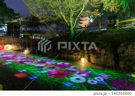 岐阜公園ぎふ灯り物語で彩られた花模様の光と和傘の幻想的な夜景 岐阜公園ぎふ灯り物語で彩られた花模様の光と和傘の幻想的な夜景 140304800