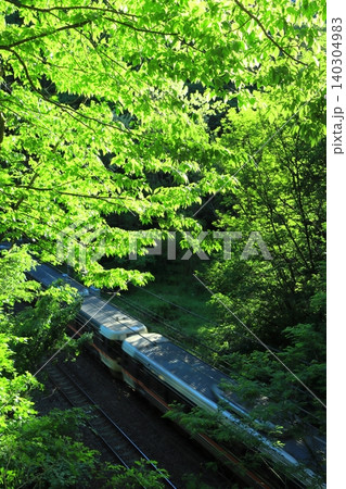 若葉が眩しい初夏の木曽路を駆け抜ける中央西線383系特急「しなの」号_2026/5/30撮影 140304983
