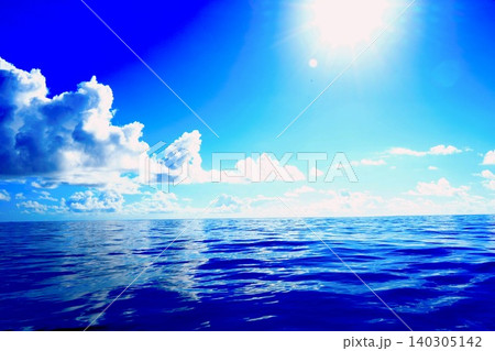 真夏の海 140305142