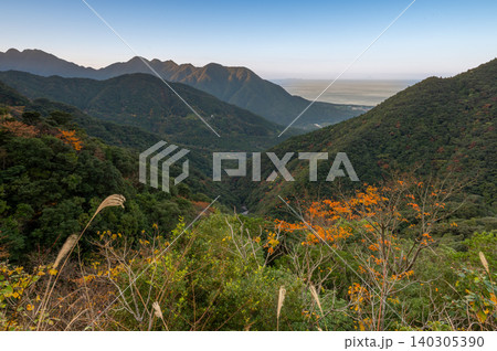 遅い紅葉 夕景 マジックアワー 神が宿る屋久島(冬 遅い紅葉 夕景 マジックアワー 神が宿る屋久島(冬 140305390