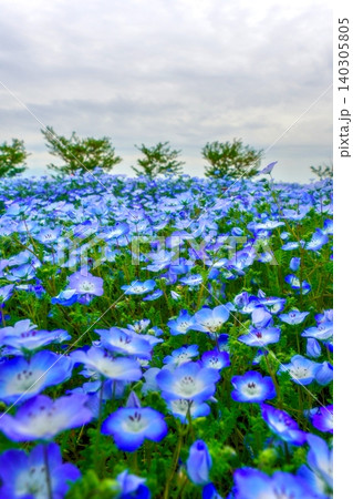 HDR HDR 140305805