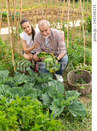 Portrait of happy grandfather with his teenage granddaughter in farmer field holding cabbage harvest Portrait of happy grandfather with his teenage granddaughter in farmer field holding cabbage harvest 140306135
