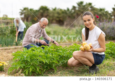 Young woman harvesting farm potatoes in the village Young woman harvesting farm potatoes in the village 140306171