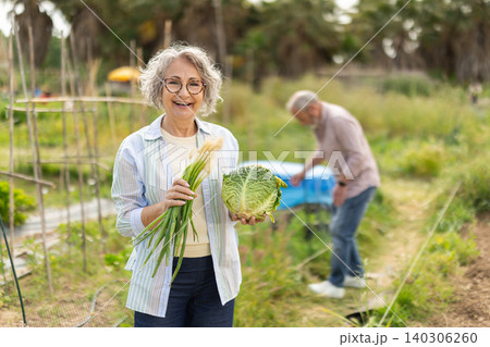 Elderly woman holds cabbage and green onions in hands Elderly woman holds cabbage and green onions in hands 140306260