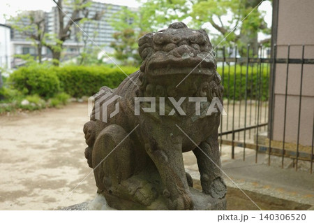 マンションが見える神社の境内にある狛犬 マンションが見える神社の境内にある狛犬 140306520