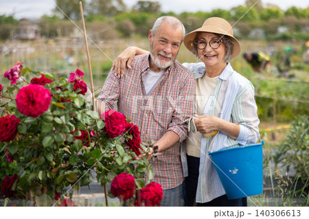Senior admiring rose bush on their farm Senior admiring rose bush on their farm 140306613