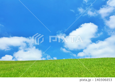 爽やかな夏の青空と新緑の草原風景 爽やかな夏の青空と新緑の草原風景 140306853