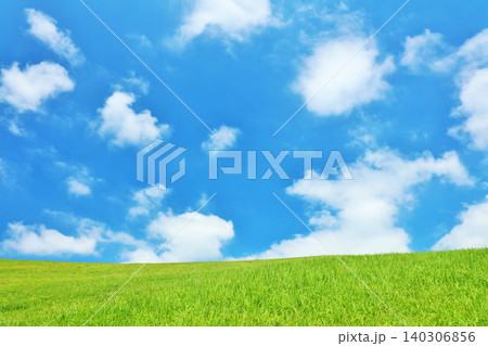 爽やかな夏の青空と新緑の草原風景 爽やかな夏の青空と新緑の草原風景 140306856