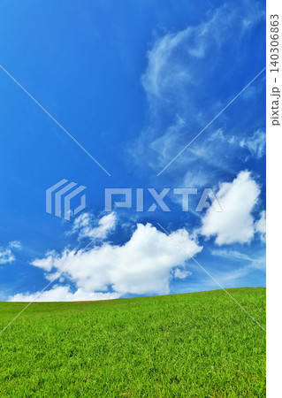 爽やかな夏の青空と新緑の草原風景 爽やかな夏の青空と新緑の草原風景 140306863