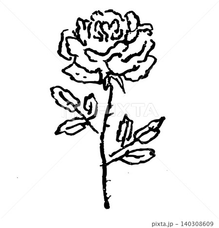 Hand Drawn Tall Rose Vector Drawing 140308609