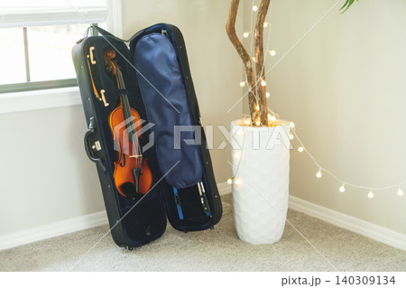 A violin in its case stands next to a flower. A violin in its case stands next to a flower. 140309134