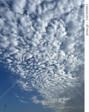 青空に広がる一面の鱗雲(うろこ雲) 青空に広がる一面の鱗雲(うろこ雲) 140309961