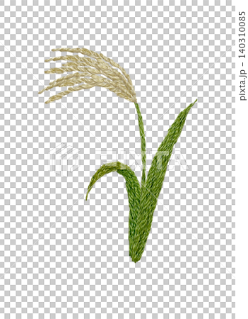 【ススキ】手刺繍イラスト素材 140310085