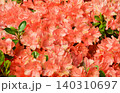 華やかなピンクオレンジの花が敷き詰められた背景用テクスチャ素材 華やかなピンクオレンジの花が敷き詰められた背景用テクスチャ素材 140310697