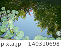 睡蓮の葉の浮かぶ水面に映るもみじの葉。もみじにピント。 睡蓮の葉の浮かぶ水面に映るもみじの葉。もみじにピント。 140310698