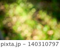 雑木林の草地に落ちる木漏れ日と影をぼかした抽象的な背景画像 雑木林の草地に落ちる木漏れ日と影をぼかした抽象的な背景画像 140310797