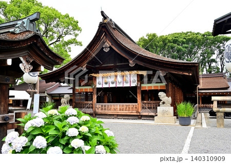 国府宮神社(尾張大國霊神社)拝殿 国府宮神社(尾張大國霊神社)拝殿 140310909