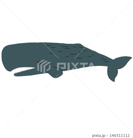 マッコウクジラ 140311112