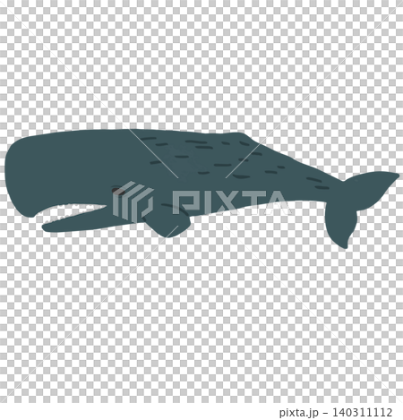 マッコウクジラ 140311112