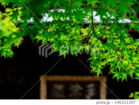 青紅葉とお寺 青紅葉とお寺 140311307