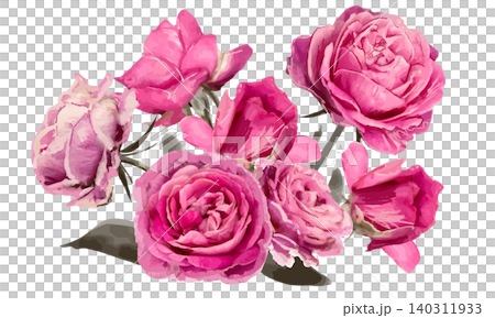 ピンク色の薔薇の花のブーケ（水彩画） 140311933