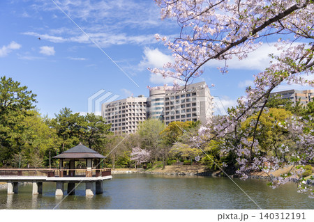 名古屋市昭和区 鶴舞公園 竜ヶ池と名大病院と桜 名古屋市昭和区 鶴舞公園 竜ヶ池と名大病院と桜 140312191