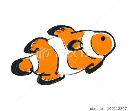 手描き風のカクレクマノミのイラスト 手描き風のカクレクマノミのイラスト 140312207