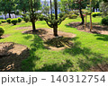 The garden of Japan's National Diet Building in Nagatacho Tokyo Japan 140312754