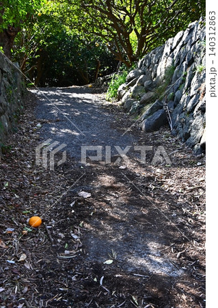 木漏れ日が差し込む石垣沿いの小道 木漏れ日が差し込む石垣沿いの小道 140312863