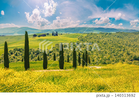 Beautiful landscape, spring nature, cypresses on sunny flower fields on rolling hills in Tuscany, Italy Beautiful landscape, spring nature, cypresses on sunny flower fields on rolling hills in Tuscany, Italy 140313692