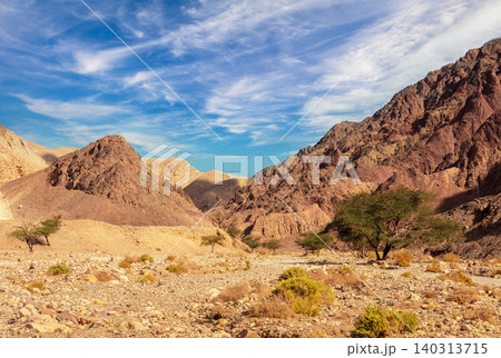 Dry river bed. Desert mountain landscape. Dry river bed. Desert mountain landscape. 140313715