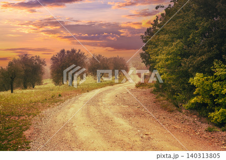 Foggy autumn rural landscape. Dirt road in olive plantation Foggy autumn rural landscape. Dirt road in olive plantation 140313805