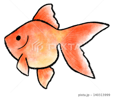 赤い金魚のシンプルな水彩風のイラスト 赤い金魚のシンプルな水彩風のイラスト 140313999