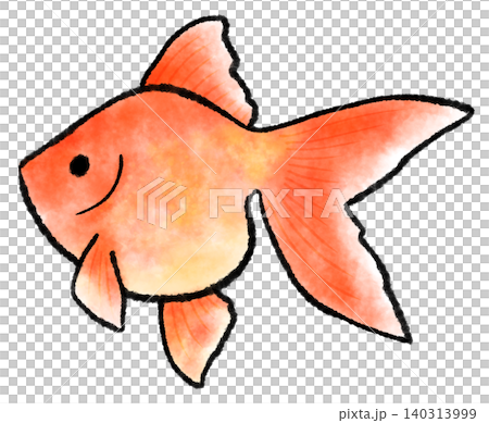 A simple watercolor-style illustration of a red goldfish. A simple watercolor-style illustration of a red goldfish. 140313999