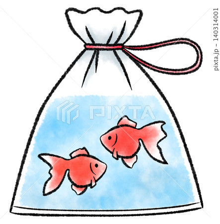 金魚すくいのビニール袋に入った2匹の赤い金魚の水彩風イラスト 140314001