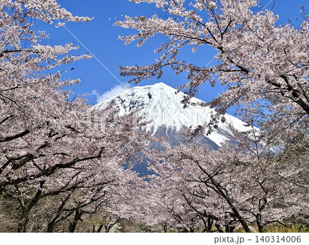春色の風景 春色の風景 140314006