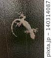 ヤモリ 140314087