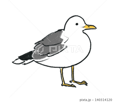 手描き風のカモメのイラスト 手描き風のカモメのイラスト 140314120