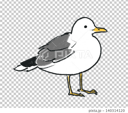 手描き風のカモメのイラスト 手描き風のカモメのイラスト 140314120