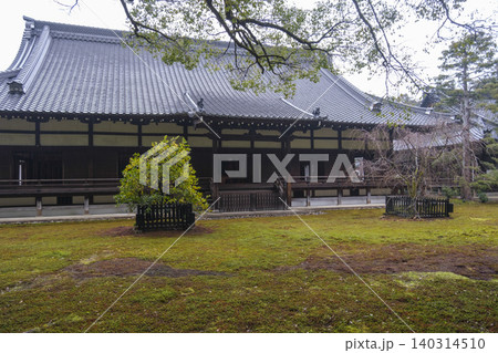 京都東山【青蓮院門跡】雨に濡れた風情ある庭園:京都府京都市東山区 京都東山【青蓮院門跡】雨に濡れた風情ある庭園:京都府京都市東山区 140314510