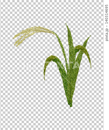 [Rice] Hand-embroidered illustration material 140314695