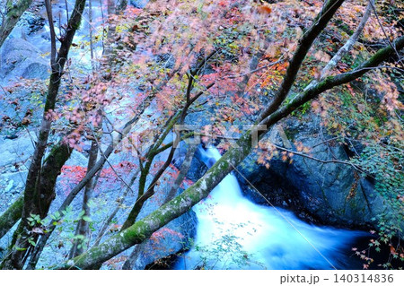 紅葉に包まれた早戸川渓谷の小滝 紅葉に包まれた早戸川渓谷の小滝 140314836