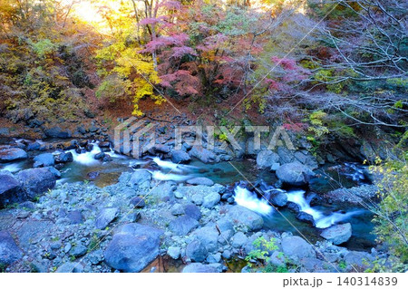 【神奈川県】紅葉に染まる早戸川渓谷 【神奈川県】紅葉に染まる早戸川渓谷 140314839