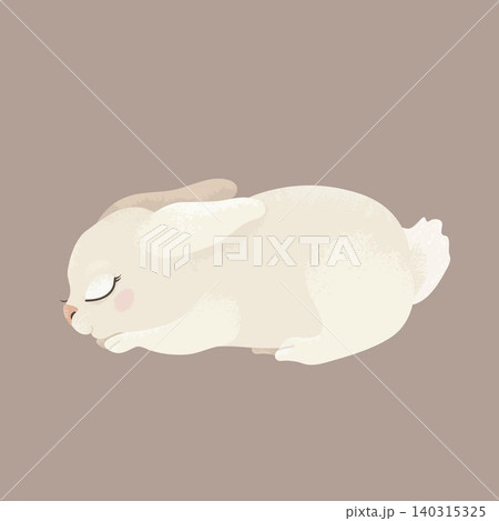 Cute sleeping bunny on beige background for nursery decor, baby cards, stickers, posters and cozy spring design. Cute sleeping bunny on beige background for nursery decor, baby cards, stickers, posters and cozy spring design. 140315325