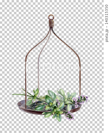Vintage scale pan with fresh thyme branches watercolor illustration. Isolated botanical layout for organic spices label, aromatherapy oil identity, culinary menu and retro pharmacy design Vintage scale pan with fresh thyme branches watercolor illustration. Isolated botanical layout for organic spices label, aromatherapy oil identity, culinary menu and retro pharmacy design 140315350