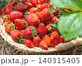 Close up shot of a rustic wicker basket filled to the brim with bright red ripe strawberries. A large green plant leaf borders the right side of the frame in outdoor daylight 140315405