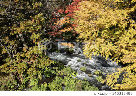 阿寒滝見橋の紅葉 140315499